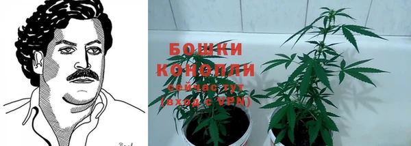 Альфа ПВП Осташков