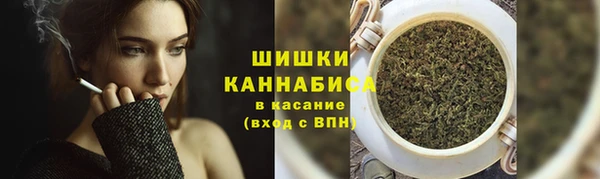 дживик Аркадак