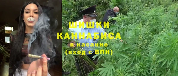 ПСИЛОЦИБИНОВЫЕ ГРИБЫ Арсеньев