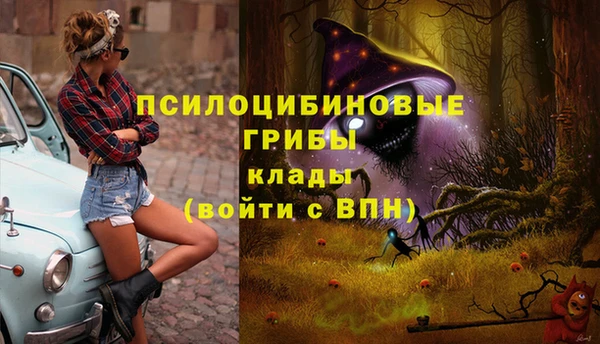 дживик Аркадак